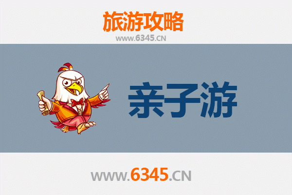普洱江城亲子游攻略：探秘茶乡与自然奇观的温馨之旅